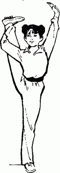 Иллюстрация к книге — Боевая гимнастика. Упражнения китайского ушу для здоровья и самозащиты [i_021.jpg]