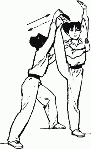 Иллюстрация к книге — Боевая гимнастика. Упражнения китайского ушу для здоровья и самозащиты [i_022.jpg]