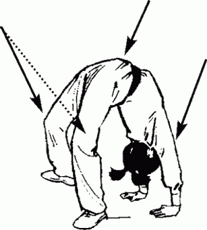 Иллюстрация к книге — Боевая гимнастика. Упражнения китайского ушу для здоровья и самозащиты [i_033.jpg]