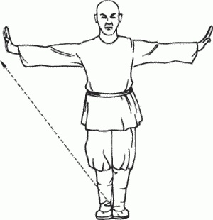 Иллюстрация к книге — Боевая гимнастика. Упражнения китайского ушу для здоровья и самозащиты [i_057.jpg]