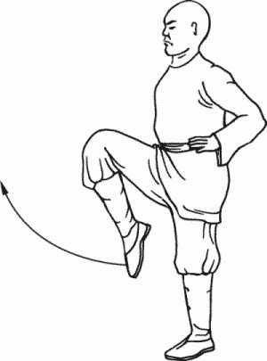 Иллюстрация к книге — Боевая гимнастика. Упражнения китайского ушу для здоровья и самозащиты [i_062.jpg]