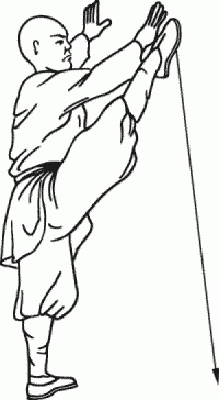 Иллюстрация к книге — Боевая гимнастика. Упражнения китайского ушу для здоровья и самозащиты [i_069.jpg]