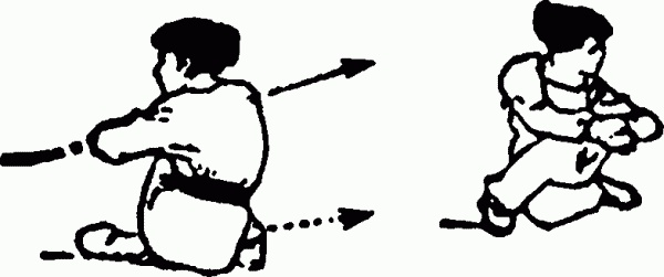 Иллюстрация к книге — Боевая гимнастика. Упражнения китайского ушу для здоровья и самозащиты [i_085.jpg]