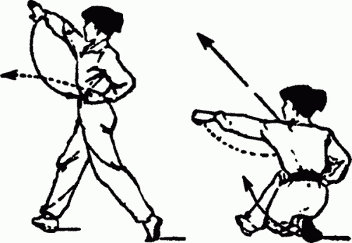 Иллюстрация к книге — Боевая гимнастика. Упражнения китайского ушу для здоровья и самозащиты [i_088.jpg]