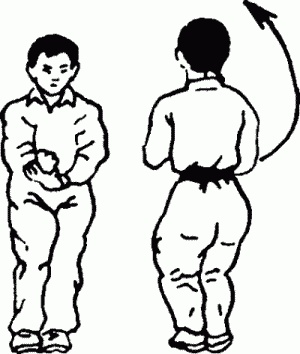 Иллюстрация к книге — Боевая гимнастика. Упражнения китайского ушу для здоровья и самозащиты [i_097.jpg]