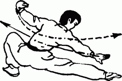 Иллюстрация к книге — Боевая гимнастика. Упражнения китайского ушу для здоровья и самозащиты [i_101.jpg]