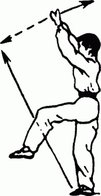 Иллюстрация к книге — Боевая гимнастика. Упражнения китайского ушу для здоровья и самозащиты [i_125.jpg]