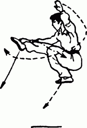 Иллюстрация к книге — Боевая гимнастика. Упражнения китайского ушу для здоровья и самозащиты [i_126.jpg]