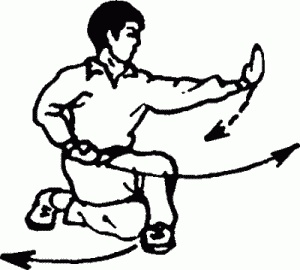 Иллюстрация к книге — Боевая гимнастика. Упражнения китайского ушу для здоровья и самозащиты [i_128.jpg]