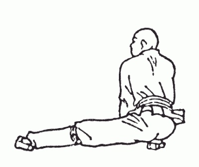 Иллюстрация к книге — Боевая гимнастика. Упражнения китайского ушу для здоровья и самозащиты [i_146.jpg]