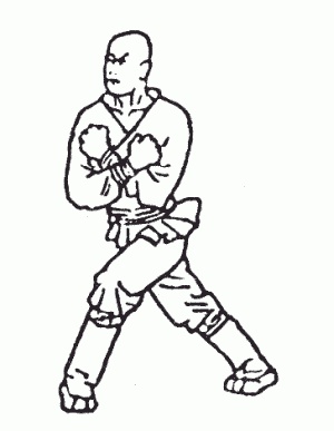 Иллюстрация к книге — Боевая гимнастика. Упражнения китайского ушу для здоровья и самозащиты [i_147.jpg]