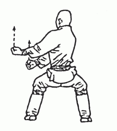 Иллюстрация к книге — Боевая гимнастика. Упражнения китайского ушу для здоровья и самозащиты [i_163.jpg]