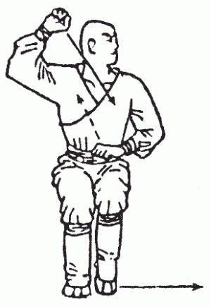 Иллюстрация к книге — Боевая гимнастика. Упражнения китайского ушу для здоровья и самозащиты [i_175.jpg]