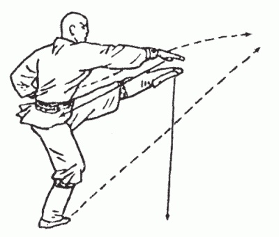 Иллюстрация к книге — Боевая гимнастика. Упражнения китайского ушу для здоровья и самозащиты [i_182.jpg]