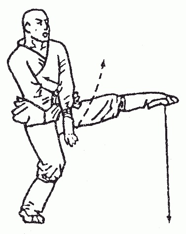 Иллюстрация к книге — Боевая гимнастика. Упражнения китайского ушу для здоровья и самозащиты [i_195.jpg]