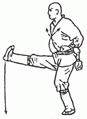 Иллюстрация к книге — Боевая гимнастика. Упражнения китайского ушу для здоровья и самозащиты [i_200.jpg]