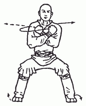 Иллюстрация к книге — Боевая гимнастика. Упражнения китайского ушу для здоровья и самозащиты [i_201.jpg]