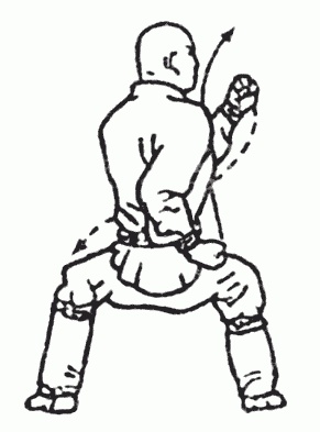 Иллюстрация к книге — Боевая гимнастика. Упражнения китайского ушу для здоровья и самозащиты [i_211.jpg]