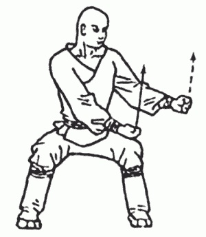 Иллюстрация к книге — Боевая гимнастика. Упражнения китайского ушу для здоровья и самозащиты [i_221.jpg]