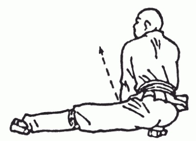 Иллюстрация к книге — Боевая гимнастика. Упражнения китайского ушу для здоровья и самозащиты [i_223.jpg]