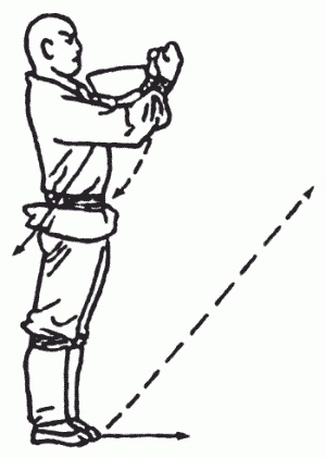 Иллюстрация к книге — Боевая гимнастика. Упражнения китайского ушу для здоровья и самозащиты [i_227.jpg]