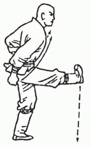 Иллюстрация к книге — Боевая гимнастика. Упражнения китайского ушу для здоровья и самозащиты [i_228.jpg]