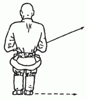 Иллюстрация к книге — Боевая гимнастика. Упражнения китайского ушу для здоровья и самозащиты [i_232.jpg]