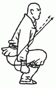 Иллюстрация к книге — Боевая гимнастика. Упражнения китайского ушу для здоровья и самозащиты [i_239.jpg]