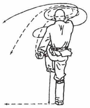 Иллюстрация к книге — Боевая гимнастика. Упражнения китайского ушу для здоровья и самозащиты [i_245.jpg]