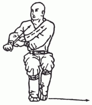 Иллюстрация к книге — Боевая гимнастика. Упражнения китайского ушу для здоровья и самозащиты [i_248.jpg]