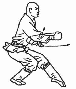 Иллюстрация к книге — Боевая гимнастика. Упражнения китайского ушу для здоровья и самозащиты [i_256.jpg]