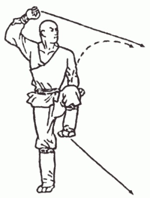 Иллюстрация к книге — Боевая гимнастика. Упражнения китайского ушу для здоровья и самозащиты [i_259.jpg]