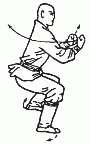 Иллюстрация к книге — Боевая гимнастика. Упражнения китайского ушу для здоровья и самозащиты [i_263.jpg]