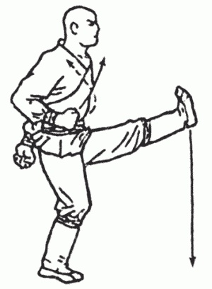 Иллюстрация к книге — Боевая гимнастика. Упражнения китайского ушу для здоровья и самозащиты [i_266.jpg]