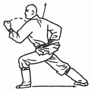 Иллюстрация к книге — Боевая гимнастика. Упражнения китайского ушу для здоровья и самозащиты [i_278.jpg]