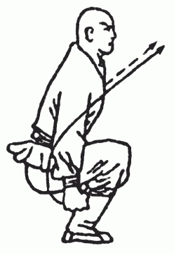 Иллюстрация к книге — Боевая гимнастика. Упражнения китайского ушу для здоровья и самозащиты [i_284.jpg]