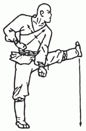 Иллюстрация к книге — Боевая гимнастика. Упражнения китайского ушу для здоровья и самозащиты [i_286.jpg]