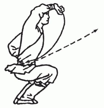 Иллюстрация к книге — Боевая гимнастика. Упражнения китайского ушу для здоровья и самозащиты [i_291.jpg]