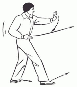 Иллюстрация к книге — Боевая гимнастика. Упражнения китайского ушу для здоровья и самозащиты [i_319.jpg]