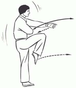 Иллюстрация к книге — Боевая гимнастика. Упражнения китайского ушу для здоровья и самозащиты [i_322.jpg]