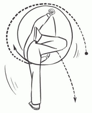 Иллюстрация к книге — Боевая гимнастика. Упражнения китайского ушу для здоровья и самозащиты [i_328.jpg]