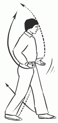 Иллюстрация к книге — Боевая гимнастика. Упражнения китайского ушу для здоровья и самозащиты [i_332.jpg]