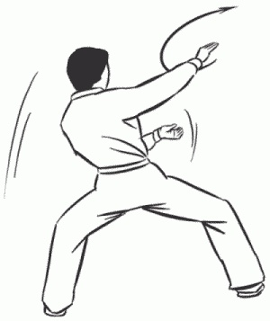 Иллюстрация к книге — Боевая гимнастика. Упражнения китайского ушу для здоровья и самозащиты [i_356.jpg]