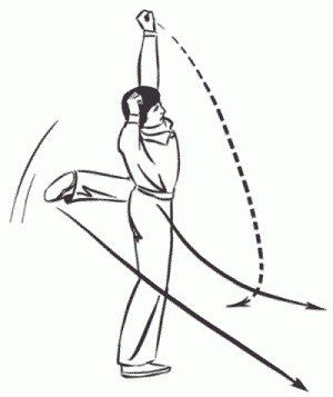 Иллюстрация к книге — Боевая гимнастика. Упражнения китайского ушу для здоровья и самозащиты [i_360.jpg]