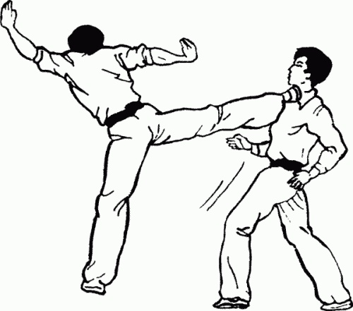 Иллюстрация к книге — Боевая гимнастика. Упражнения китайского ушу для здоровья и самозащиты [i_385.jpg]