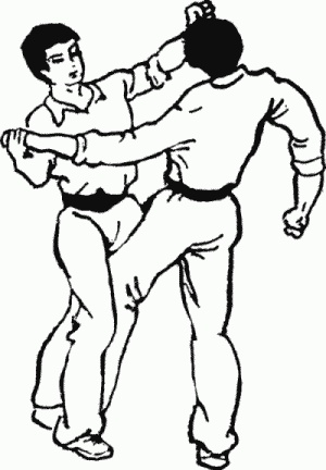 Иллюстрация к книге — Боевая гимнастика. Упражнения китайского ушу для здоровья и самозащиты [i_390.jpg]