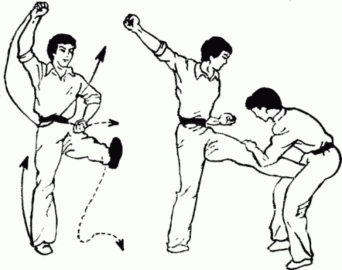 Иллюстрация к книге — Боевая гимнастика. Упражнения китайского ушу для здоровья и самозащиты [i_391.jpg]