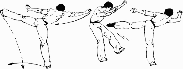 Иллюстрация к книге — Боевая гимнастика. Упражнения китайского ушу для здоровья и самозащиты [i_397.jpg]