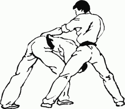 Иллюстрация к книге — Боевая гимнастика. Упражнения китайского ушу для здоровья и самозащиты [i_406.jpg]