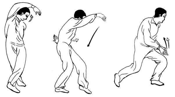 Иллюстрация к книге — Цигун – китайская гимнастика для здоровья. Современное руководство по древней методике исцеления [i_009.jpg]